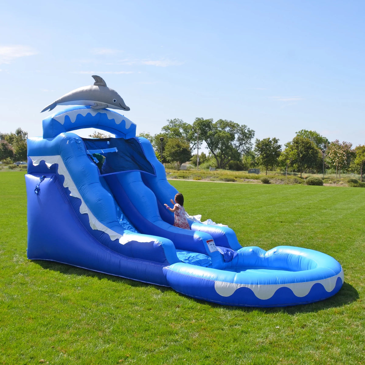 Dolphin Commercial Grade Water Slide with Pool Z800