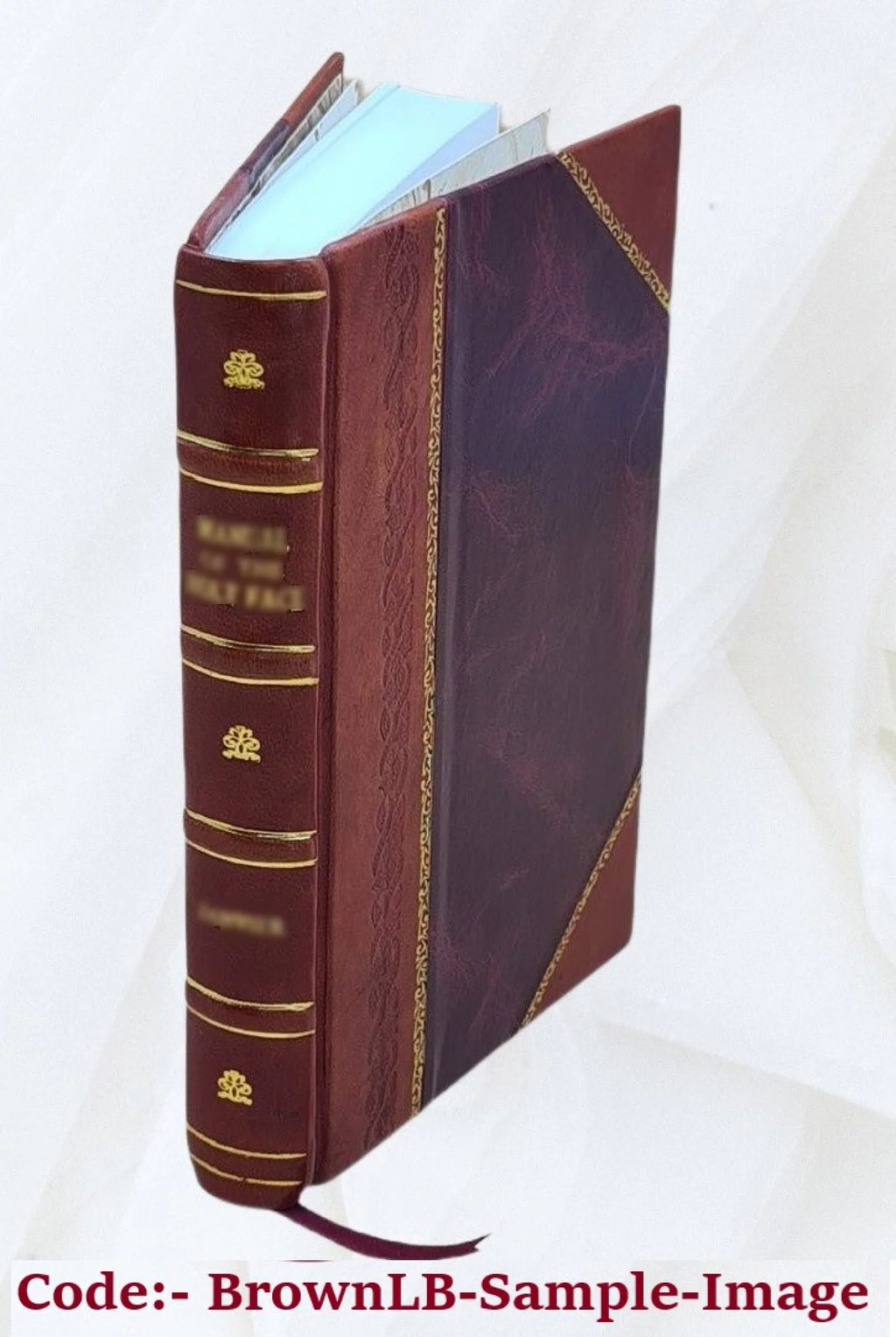 Leather Bound S863659