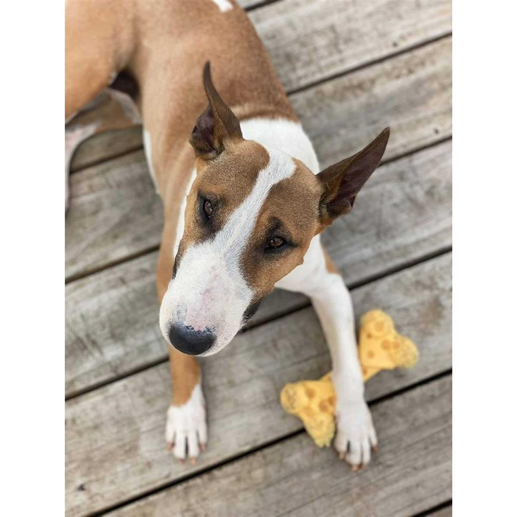 Cheese Bone Dog Toy K558007