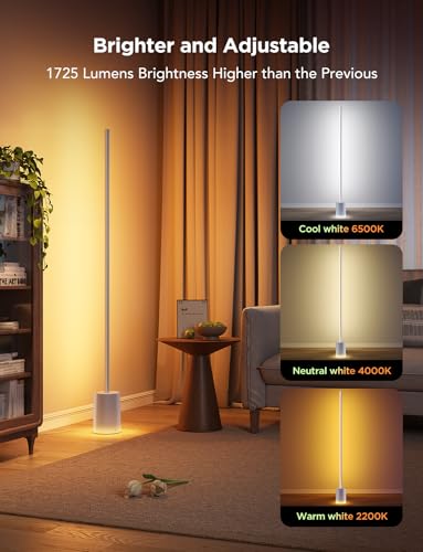 Smart RGBIC LED Floor Lamp C18416
