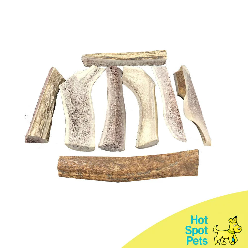 6 Inch Naturally Shed Elk Antler Dog Chews 3 Pack T43349