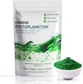 Marine Phytoplankton Supplement Rich in Omega-3 100 Grams G3254