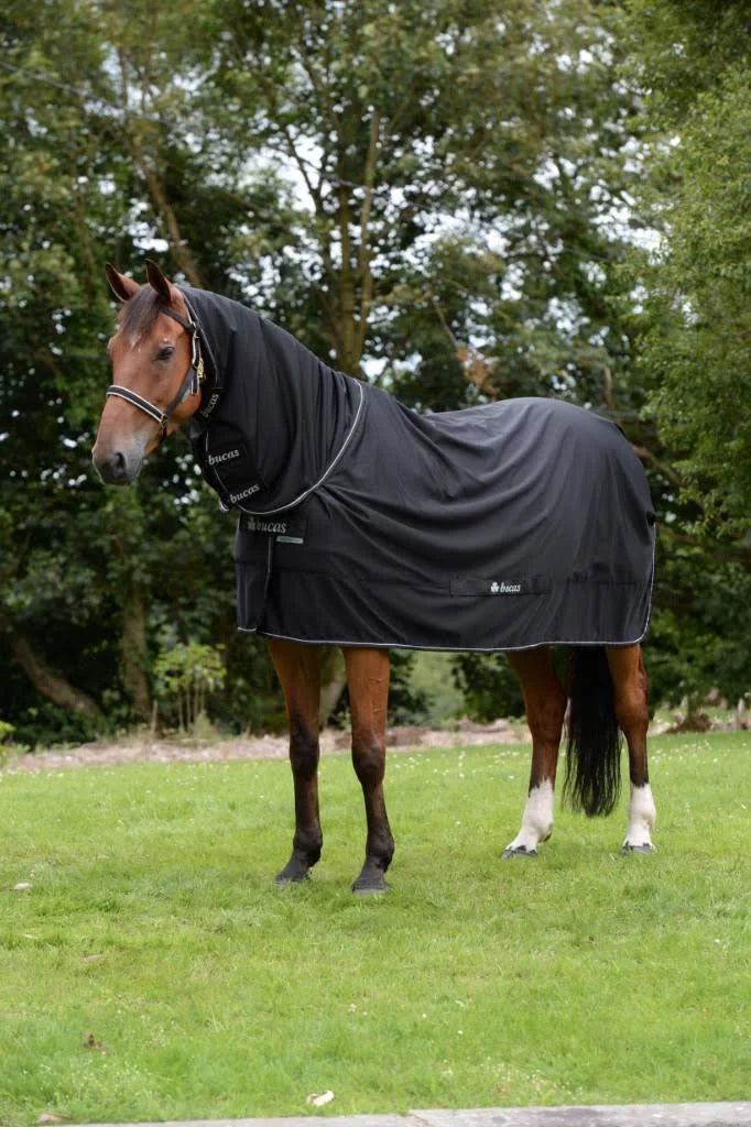 Black Full Neck Horse Blanket R350