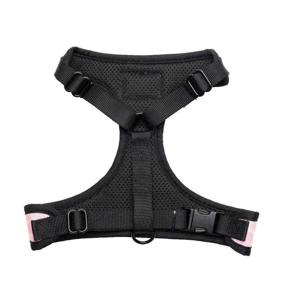 Harness & Leash Set R873856