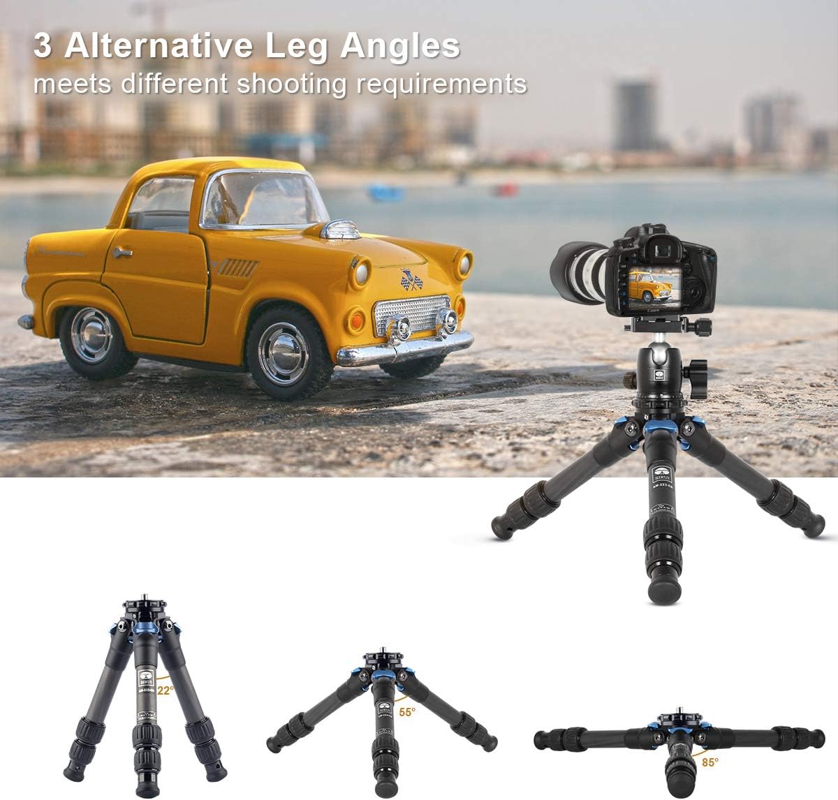 Carbon Fiber Mini Tripod with Center Column R583