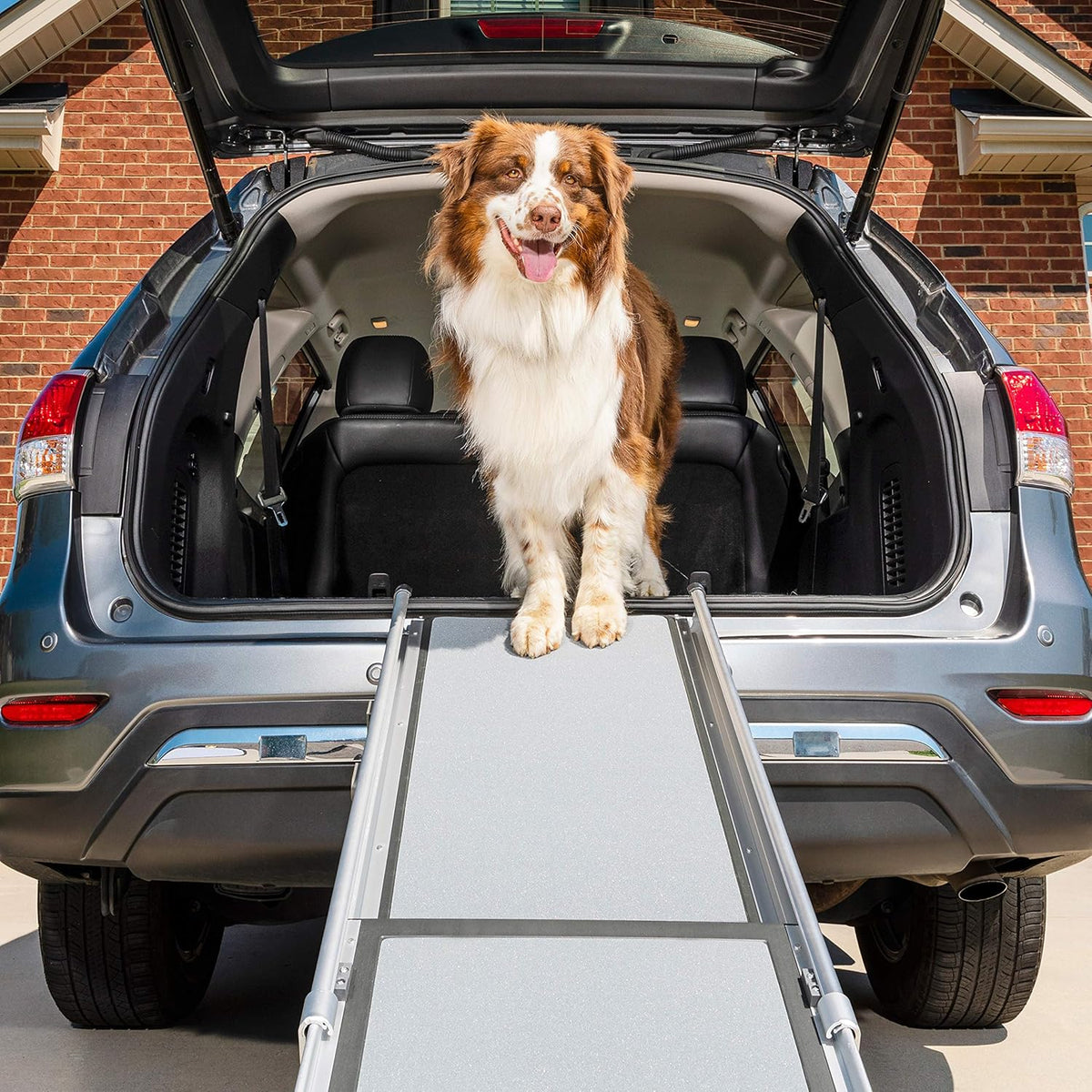 72 Inch Portable Lightweight Aluminum Dog and Cat Ramp J81153