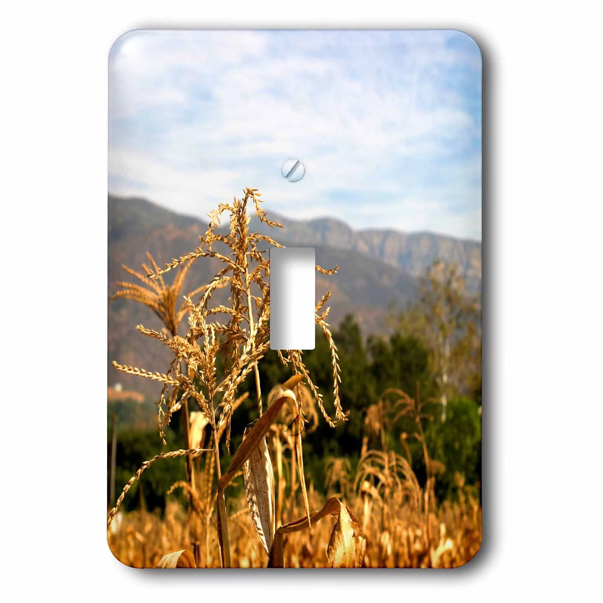 Corn field with Topa Topa Mountains in the Ojai valley toggle switch J3196
