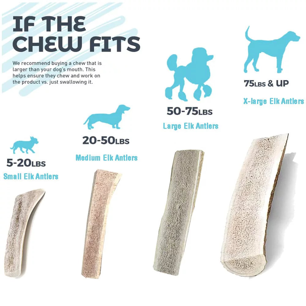 6 Inch Naturally Shed Elk Antler Dog Chews 3 Pack T43349