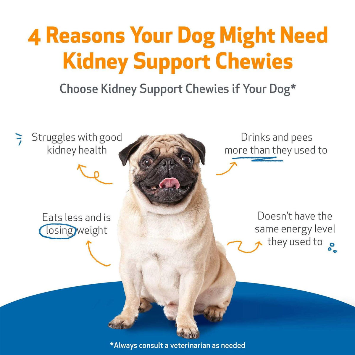 Kidney Support Chewies for Dogs M625