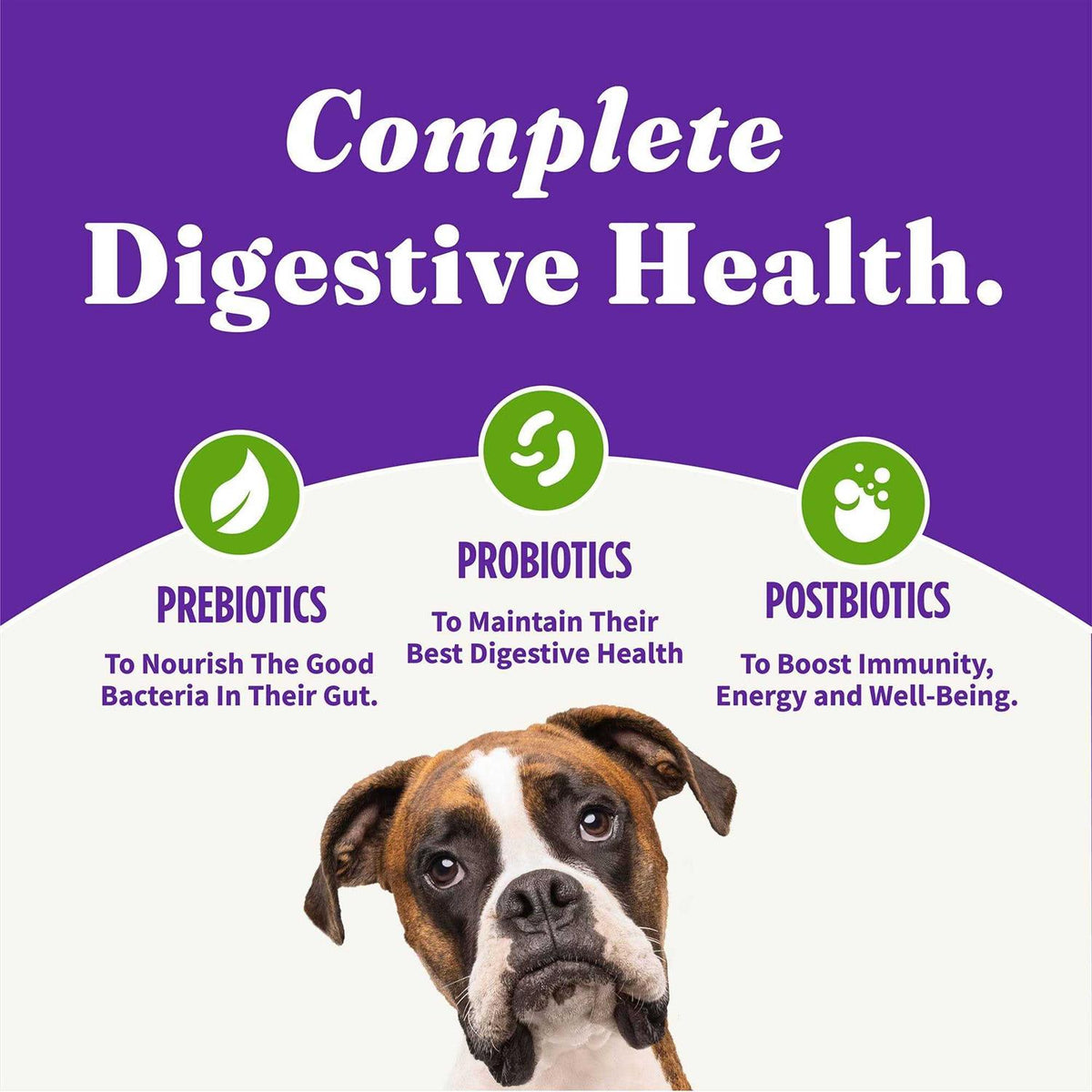 Adult Dry Dog Food Q7459