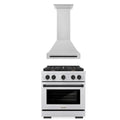 30 In. Gas Range and Range Hood in Stainless Steel R6619