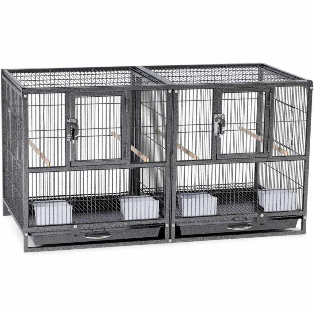 Bird Cage H7488