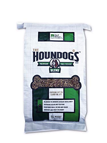 Tall Fescue Grass Seed 5 lbs H96697