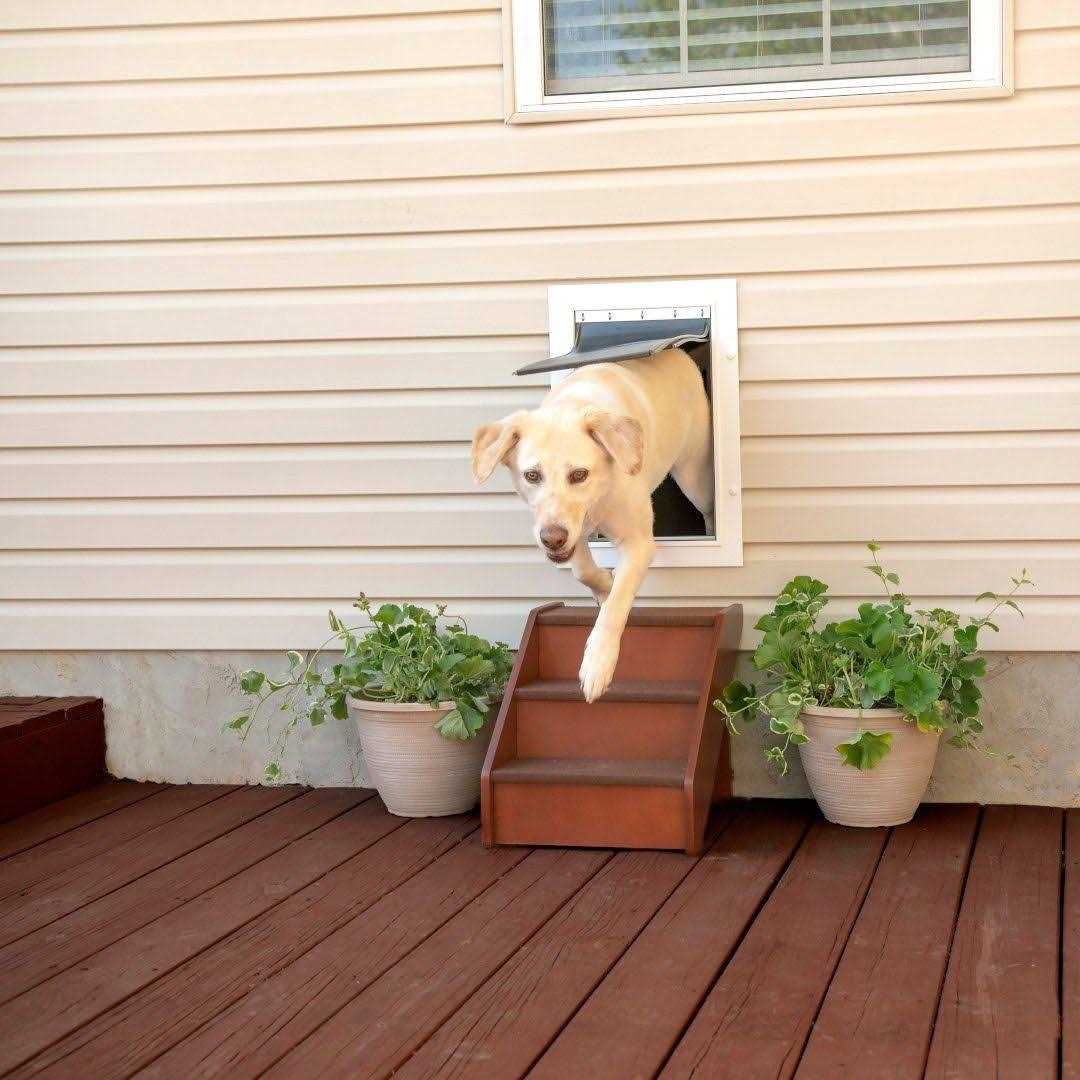 Wall Entry Pet Door Y4211