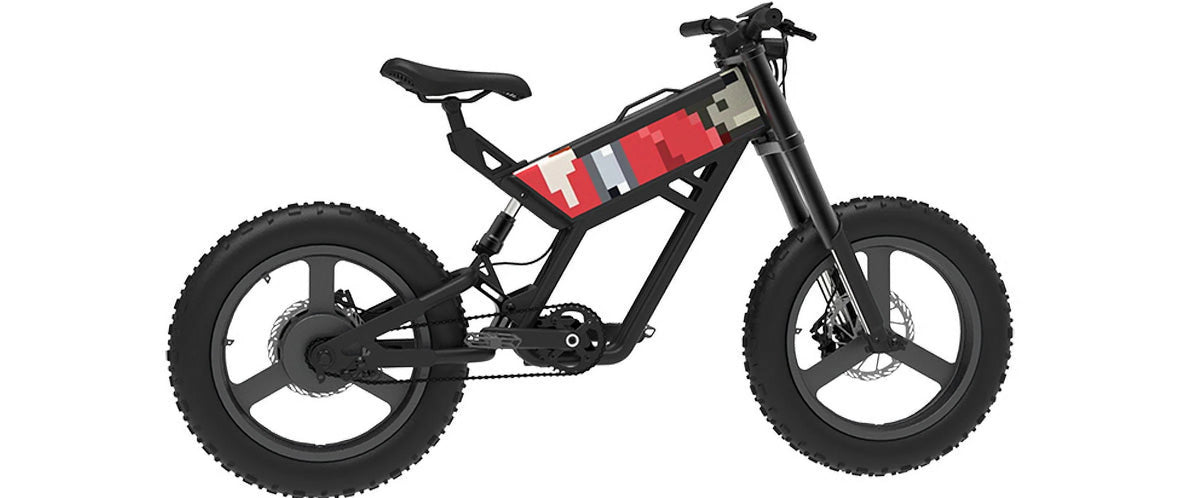 Fat Tire eBike W846