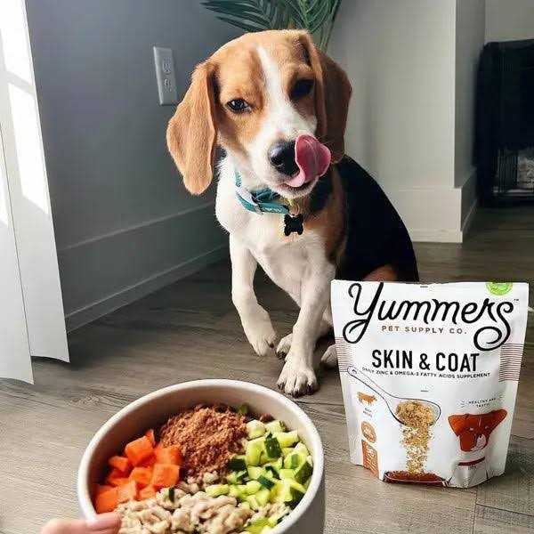 Beef Dog Food S413