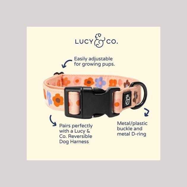 Adjustable Dog Collar W8355