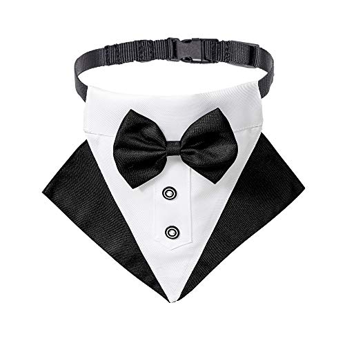 Black Adjustable Dog Collar with Bow Tie L428944