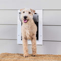 Wall Entry Pet Door Y4211