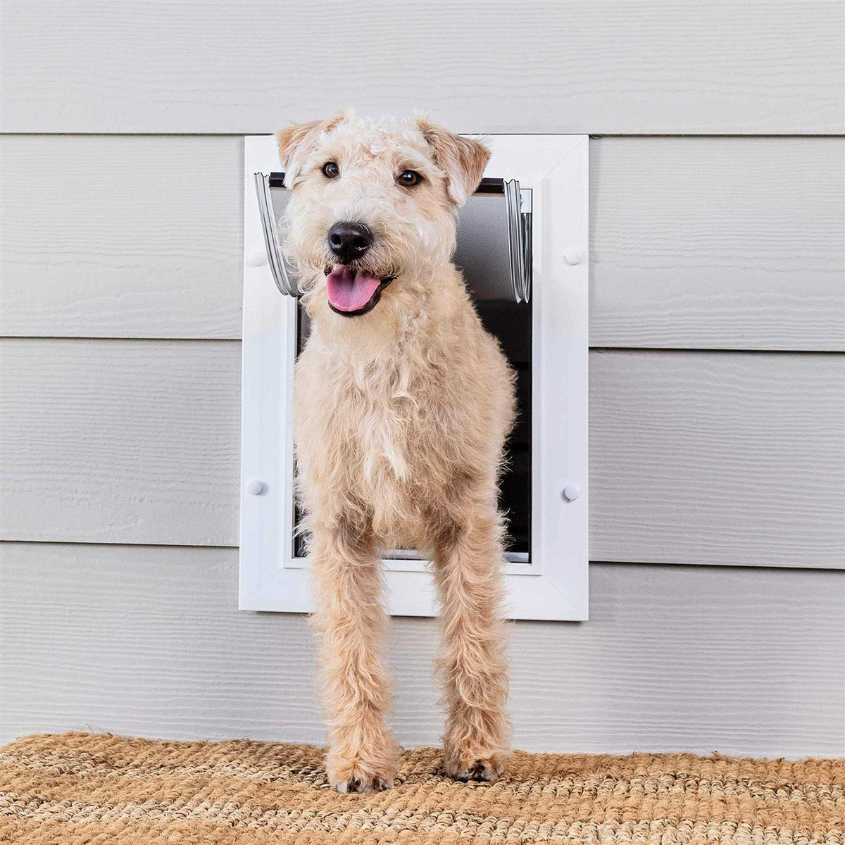 Wall Entry Pet Door Y4211
