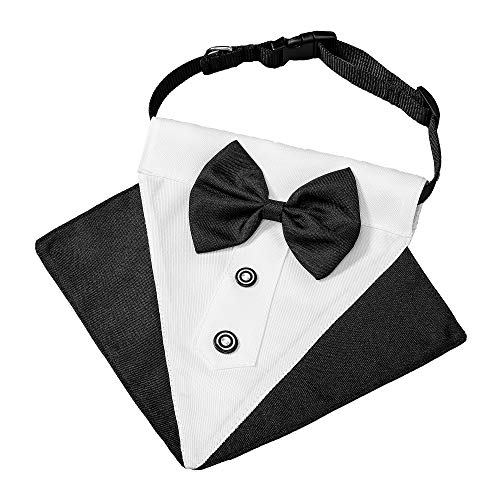 Black Adjustable Dog Collar with Bow Tie L428944