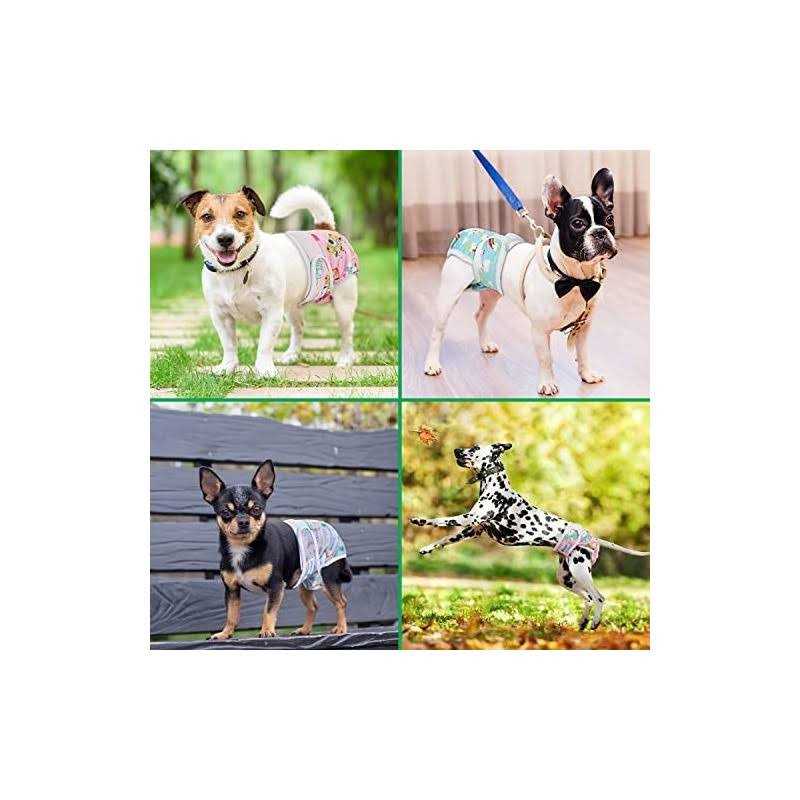 Washable Female Dog Diapers F644871