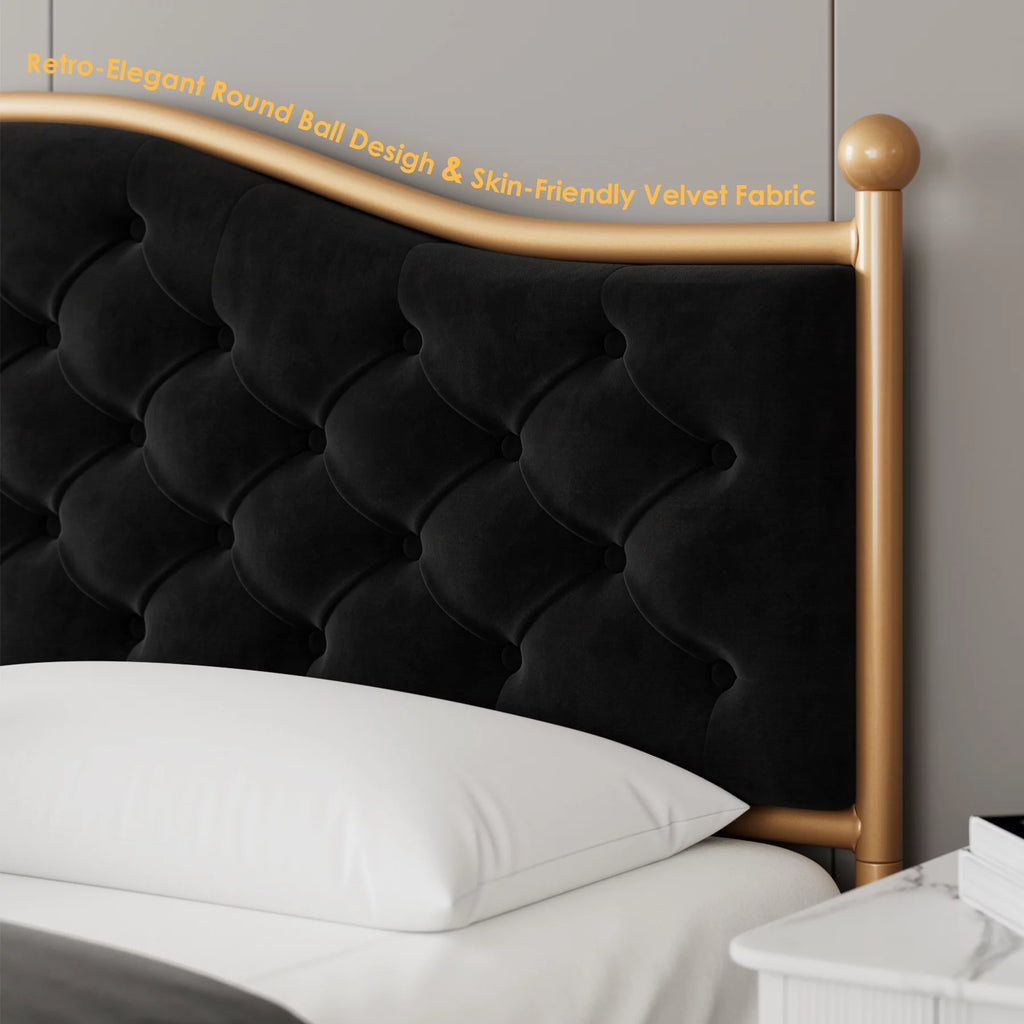 Black Queen Size Upholstered Platform Bed Frame M540