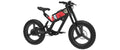 Fat Tire eBike W846