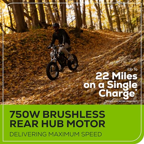 Greenworks 80V I819