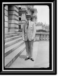 Framed Print 17-7/8" x 21-7/8" Q300416