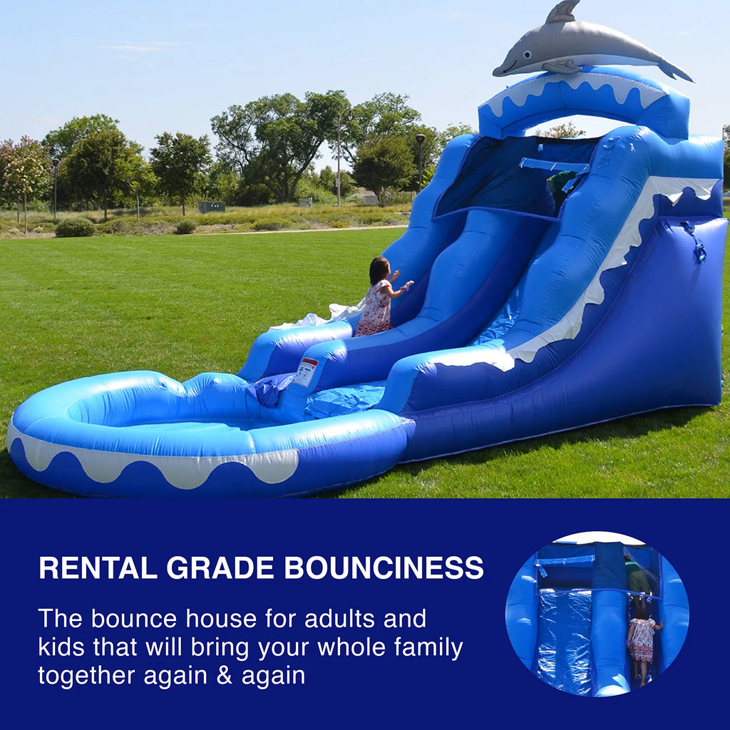 Dolphin Commercial Grade Water Slide with Pool Z800
