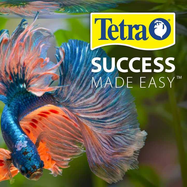 10 Gallon Glass LED Aquarium Kit Y3170