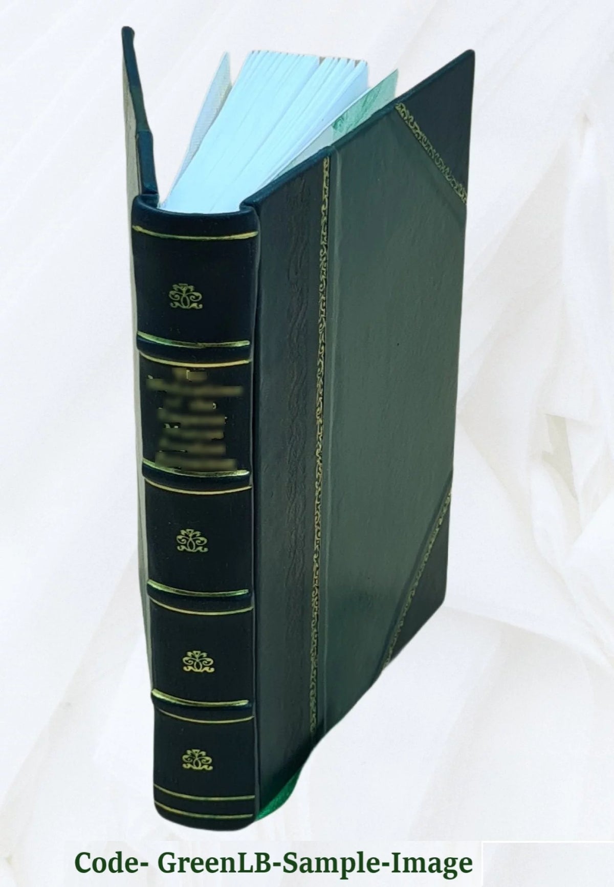 Leather Bound S863659