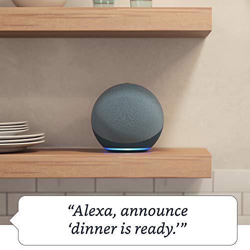 Charcoal Alexa Speaker Y9255