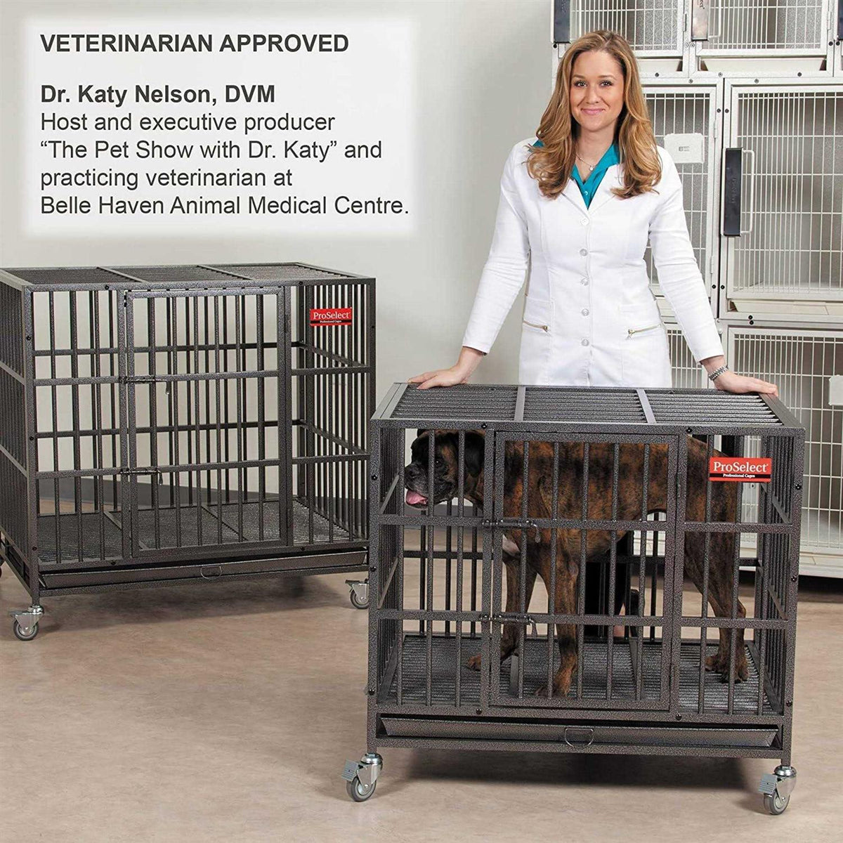 Dog Cage Z43287