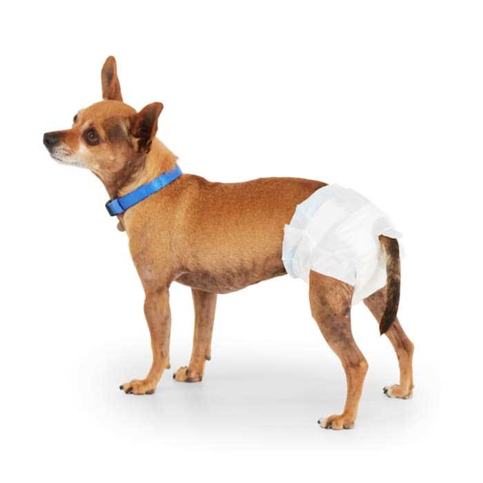 Disposable Pet Diapers P493345