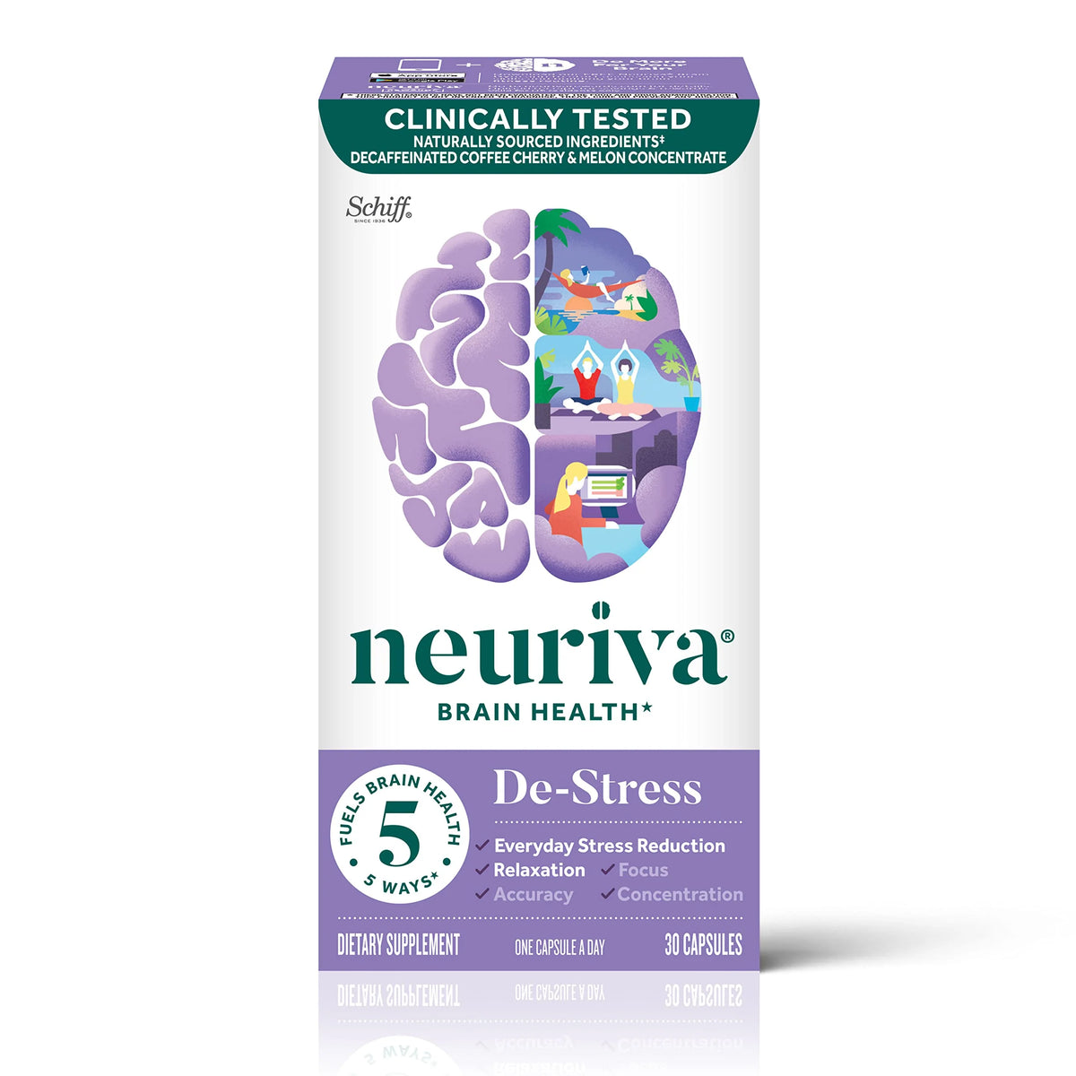 Brain Supplement with L-Theanine 30ct Capsules B2536