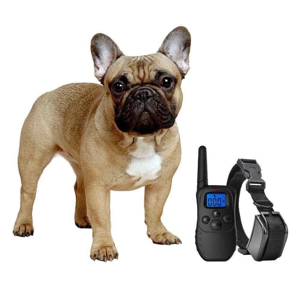 Shock Collar for Small Dogs with Remote N36689